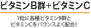 acpuavita ビタミンB群100+ビタミンC 解説