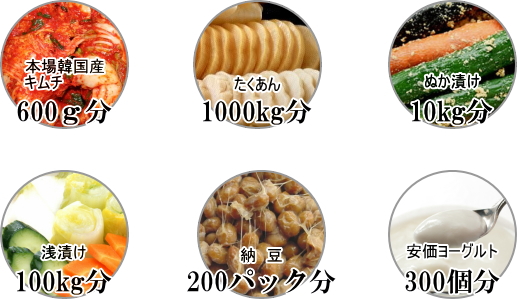 免疫乳酸菌JIN 乳酸菌比較
