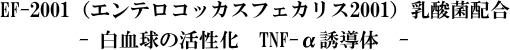 免疫乳酸菌（EF-2001）ＪＩＮ