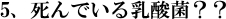 5死んでいる乳酸菌　免疫乳酸菌（EF-2001）ＪＩＮ